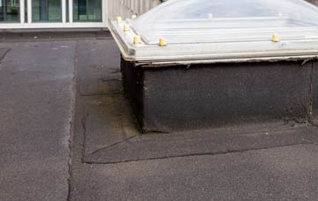 disadvantages of Tregurtha Downs flat roofs