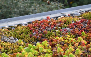the cost of Tregurtha Downs green roof installation