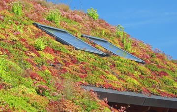 Tregurtha Downs living roof systems