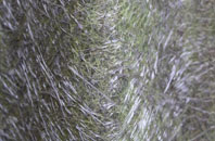 Tregurtha Downs fibreglass roof work